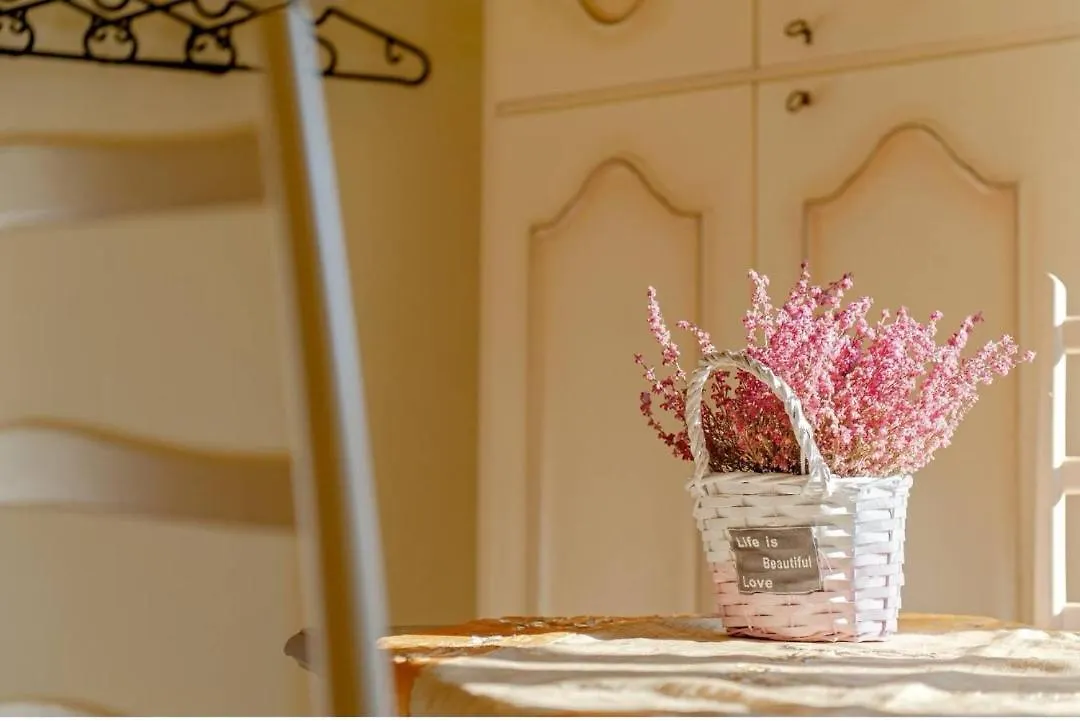 Apartment Le 7 Calle Pisa Italy